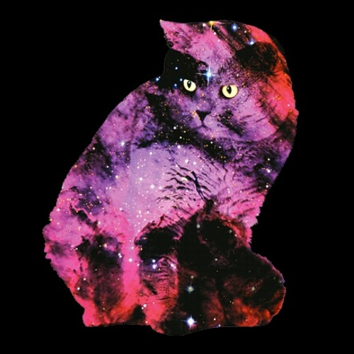 Stream Cosmos Cat music Listen to songs, albums, playlists for free
