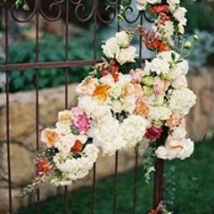 Amira Masoud 3