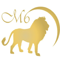 The Movement (MXB)