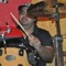 jrnarciso