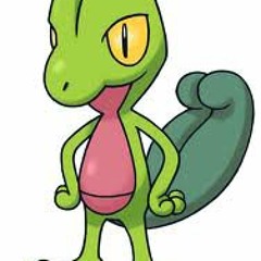 Kaikiat' Treecko