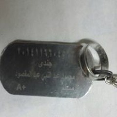 Mahmoud Al Sawi