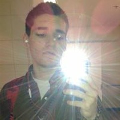 Dakota Mini Azur Champion