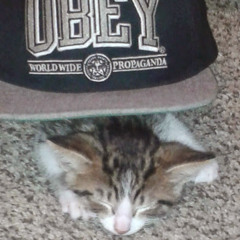 Brodey Kocina