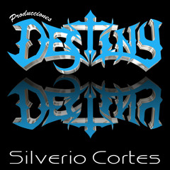 PRODUCCIONES DESTINY