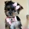 cuteness_gonewild