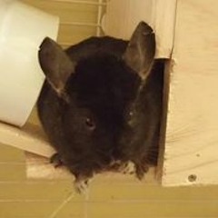 Samantha Lynn Murphy