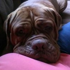 Chiel En Linda de Boom