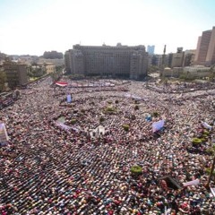 Ahmed Shaalan 8