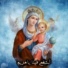 Medo Magdolin Gendy