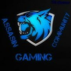 Assasin Gaming Community