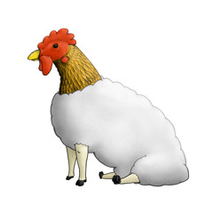 RoosterSheep