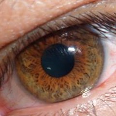 Javier Hernandez 422