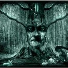 Martin Matroš Almášy