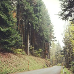 shorokhov