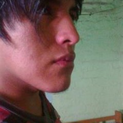 Posdata TE Odio Gamarra