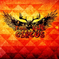 The Owl Circus
