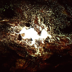 KALAN ecstatic worldmusic