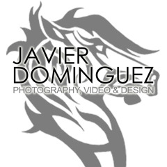"Javier Domínguez FVD"