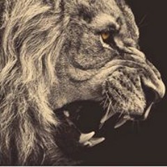 Joshua T. Vander Veen