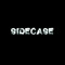 Sidecase