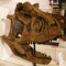 Carnotaurus Gorilla