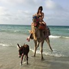 Teresa Alves de Sousa