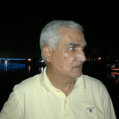magdi agwa 1