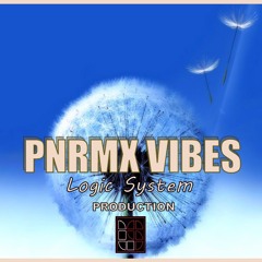 PNRMX VIBES