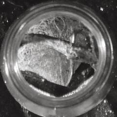 NATTAN Johnattan Ríos