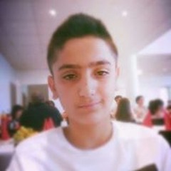 Arcan Fares