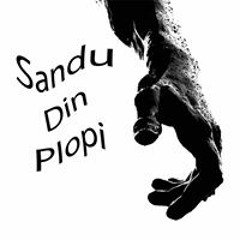 Sandu Din Plopi
