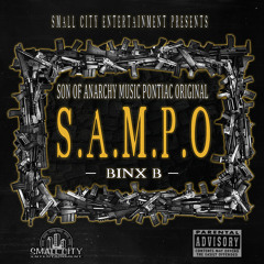 Binx300