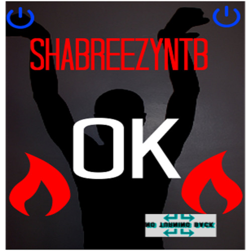 shabreezyntb’s avatar