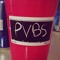 PVBS