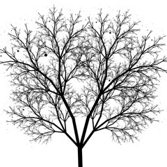 Mockery Of Creation