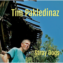Tim Pakledinaz