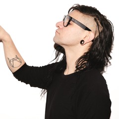 Skrillex4everX