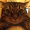 Gattous