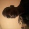 user437384078