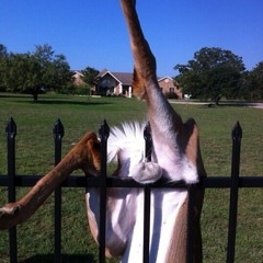 Classifiedclassified