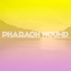 pharaohhound