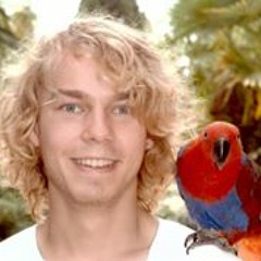 Martijn Vos 7