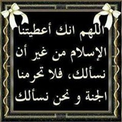 user799001025
