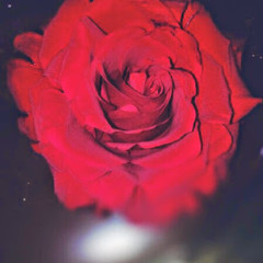 Jawaher AlSoofy