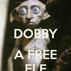 Dobbyssocks