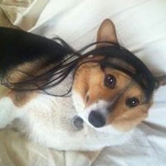 Holly Nanthavongdouangsy