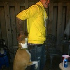 Donatello Blondeelskie