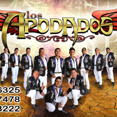 LOS APODADOS alam H.