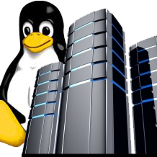 VPS Hosting To Improve Your Business in the Heights!!!